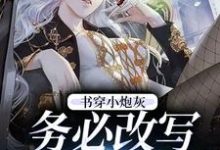 书穿小炮灰，务必改写好结局小说有没有完整的免费版本在线阅读？-豌豆文学