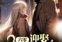 夏黎陆定远为主角的小说六零：迎娶科研大佬后，他赢麻了在线阅读-豌豆文学