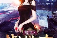 都市之战神归来苏心苏光明小说免费阅读-豌豆文学
