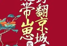 寻找五年后，她带崽野翻京城了小说的最新更新章节-豌豆文学