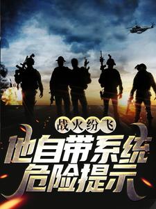 楚天恒的完整故事在哪里？读战火纷飞：他自带系统危险提示小说