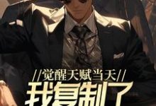 王浩小说在线章节免费阅读（觉醒天赋当天，我复制了SSS级天赋无弹窗无删减）-豌豆文学