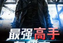 最强高手在都市小说无弹窗阅读的网站推荐-豌豆文学