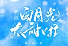 已完结小说《他的白月光太甜啦》章节在线阅读-豌豆文学