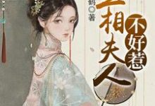 丞相夫人不好惹盛安蓝沈白屿乐冉娜宁,丞相夫人不好惹在线无弹窗阅读-豌豆文学