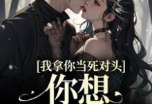 黎娇沈颜的完整故事在哪里？读我拿你当死对头，你想钻我被窝？小说-豌豆文学