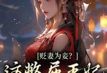 贬妻为妾？这憋屈王妃我不当了小说有没有完结版在线？-豌豆文学