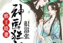 邪王追妻：神医狂妃很嚣张小说免费资源，邪王追妻：神医狂妃很嚣张在线阅读-豌豆文学