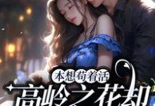 男女主人公叫宋应晚谢辞的小说免费资源-豌豆文学