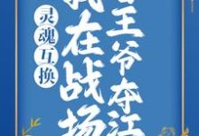江穗宁夜湛为主角的小说叫什么？免费看灵魂互换：我在战场替王爷夺江山-豌豆文学