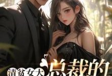 清贫女大，总裁的心头宝宋晚意沈煜洵在线章节免费阅读-豌豆文学