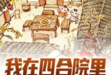 求我在四合院里斗智斗勇小说免费资源-豌豆文学