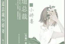 霸道总裁小娇妻陈若希周安良,霸道总裁小娇妻小说免费阅读-豌豆文学