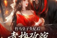 竹马皇子失忆后，青梅改嫁太子了这本小说在哪里可以看？哪里有免费试读章节？-豌豆文学