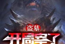 秦枫小说《盗墓：开局宰了怒晴鸡》在线阅读-豌豆文学