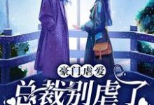 已完结小说《豪门虐爱：总裁别虐了，夫人已婚了》章节免费阅读-豌豆文学