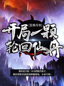 小说《至尊丹帝：开局一颗轮回仙丹》章节免费阅读