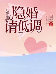 已完结小说《陆先生，隐婚请低调》最新章节
