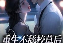 重生不舔校草后，反被他求婚啦小说的免费阅读版本在哪里可以找到？-豌豆文学