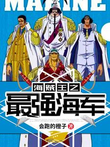 海贼王之最强海军叶落斯慕吉路飞布蕾在线章节免费阅读