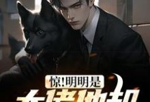 姜昊小说叫什么（惊！明明是大佬他却酷爱炸鱼免费阅读）-豌豆文学