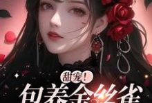 小说《甜宠！包养金丝雀，狗粮满天飞》章节阅读-豌豆文学