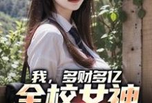 免费在线阅读我，多财多亿，全校女神为我争宠小说的正规网站有哪些？-豌豆文学
