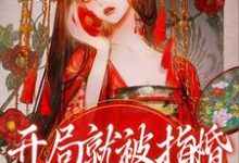 开局就被指婚，你们礼貌吗？小说完结了吗？在哪里可以免费读到？-豌豆文学