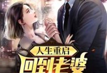 人生重启：回到老婆自杀那一天小说有没有完结版在线？-豌豆文学