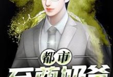 想读叶昆仑林曦汐萌萌周君的故事，哪里可以免费找到都市至尊奶爸？-豌豆文学