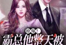 主人公叫江嚟霍丞璟的小说哪里免费看-豌豆文学
