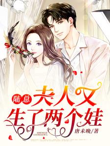 小说《陆总，夫人又生了两个娃》章节免费阅读
