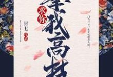 萧清若苏玄的完整故事在哪里?读求你攀我高枝小说-豌豆文学