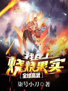 全球高武：我吞了烧烧果实小说的无弹窗阅读体验，寻找免费阅读网站