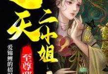 小说《至尊邪凤：逆天二小姐》在线章节阅读-豌豆文学