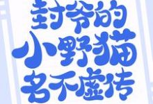 小说《悄然情深：封爷的小野猫名不虚传》章节阅读-豌豆文学