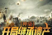 完结版《神豪：开局继承遗产，走向人生巅峰》章节目录在线阅读-豌豆文学
