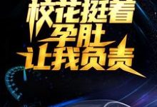 被分手后，校花挺着孕肚让我负责小说的免费阅读版本在哪里可以找到？-豌豆文学