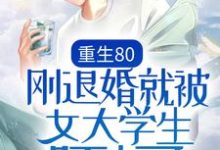 重生80：刚退婚就被女大学生盯上了（赵国庆夏若兰）在线免费阅读-豌豆文学