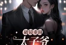 破镜重圆：太子爷他太霸道（黎念靳宴深）在线免费阅读-豌豆文学