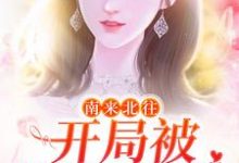 南来北往：开局被汪新喂糖姚玉玲汪新在线章节免费阅读-豌豆文学