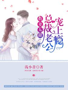 萌妻太甜：总裁老公宠上瘾小说无弹窗阅读的网站推荐