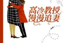 叶宇宸沈念小说叫什么（高冷教授漫漫追妻免费阅读）-豌豆文学