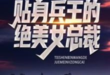 秦渊钱苏子的小说在哪里看？免费在线阅读贴身兵王的绝美女总裁-豌豆文学