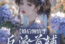 婚后缠情！反派首辅为我痴狂这本小说在哪里可以看？哪里有免费试读章节？-豌豆文学