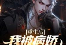 在线寻找林轩苏婳的小说，重生后，我被病娇女霸气壁咚免费阅读-豌豆文学