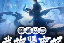 穿越以后，我抱紧宠妃姐姐的大腿季今宵小说免费阅读-豌豆文学