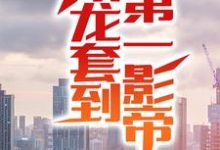 从龙套到第一影帝小说有没有完整的免费版本在线阅读？-豌豆文学