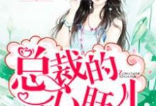 在线搜索恬心即黑轩的完整小说，免费阅读总裁的心肝儿-豌豆文学