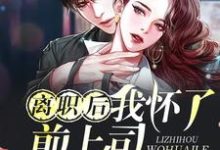 求离职后我怀了前上司的孩子小说的全文免费阅读链接-豌豆文学